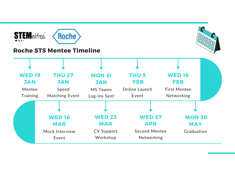A graphic showing the Roche STS Mentee Timeline.