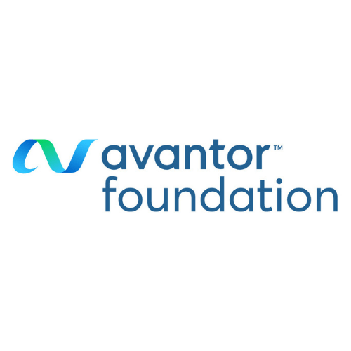 Avantor Foundation logo on a white background