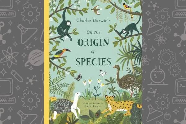 Book cover of Charles Darwin's On the Origin of Species by Sabina Radiva on a grey background.
