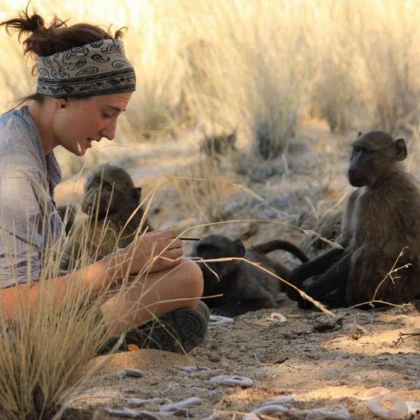 A young woman is sat on sand with a pencil and paper. It looks like a desert or savanna. There are three monkeys watching what she is doing. She has her hair is a messy bun and has a neckerchief tied around her head. She is wearing a grey top, a pair of black shorts and walking boots.