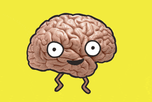 Top Tips For A Maths? - brain gif | Stemettes Zine