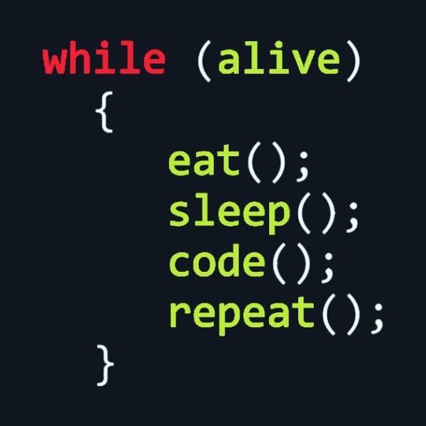eat sleep code repeat | Stemettes Zine
