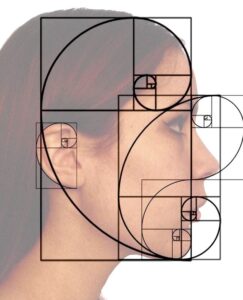 human face fibonacci | Stemettes Zine