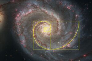 Fibonacci in nature - galaxy | Stemettes Zine
