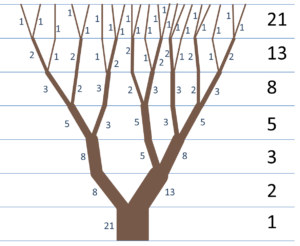 3 fibonacci sequence nature