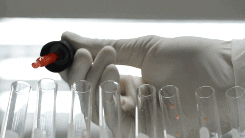 Everything About Biomedical Engineering - science gif | Stemettes Zine