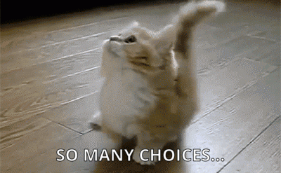 GCSE Results Day | So many choices gif