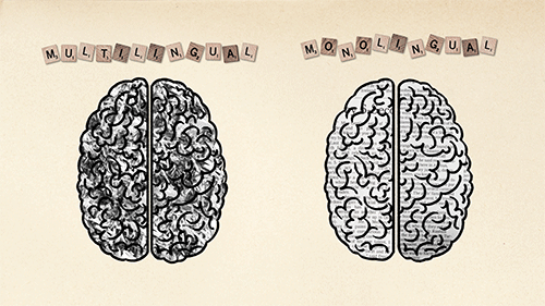 multi vs. monolingual brain | Stemettes Zine