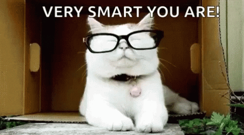 Very Smart Your Are gif | Stemettes Zine