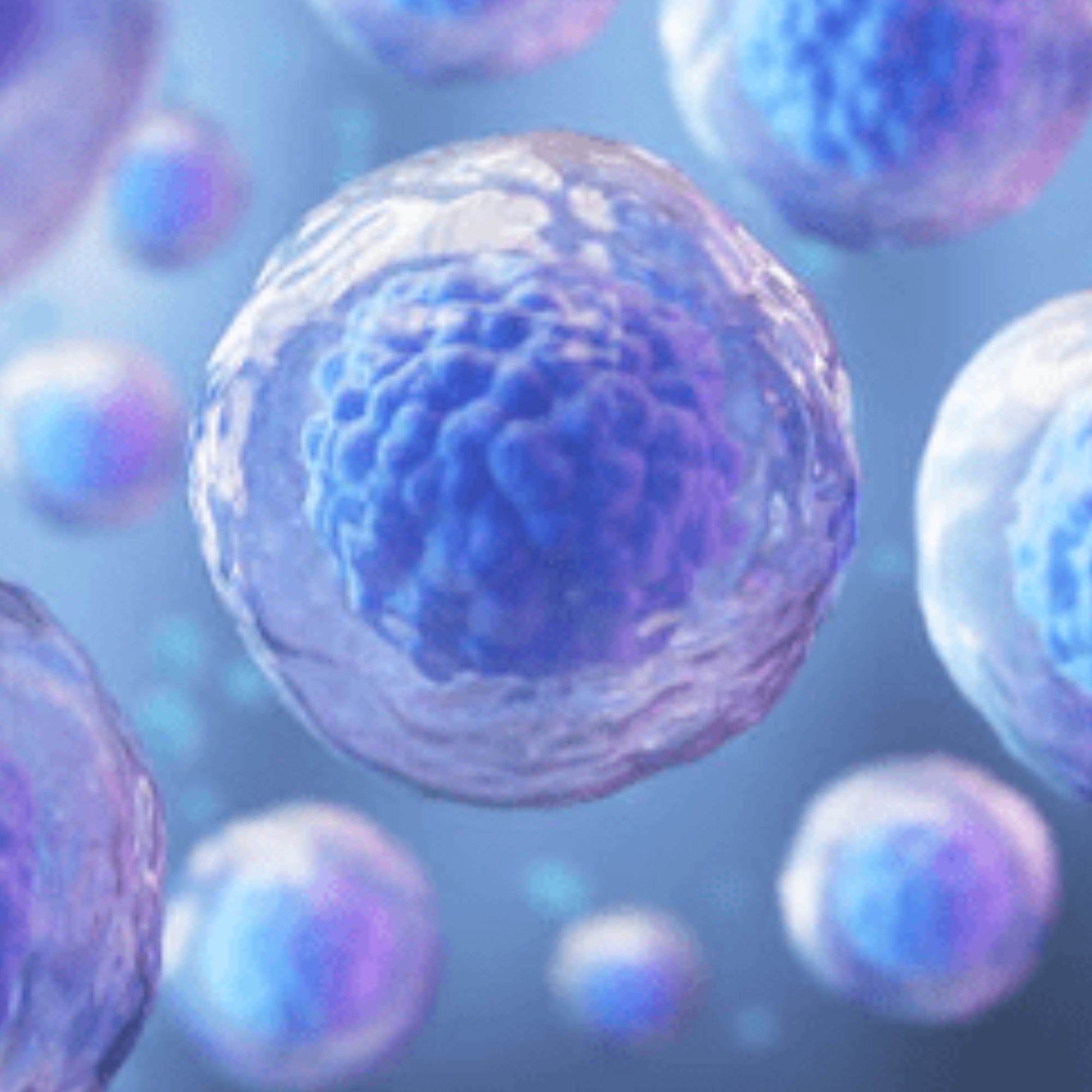 All About Stem Cells - The Stemettes Zine
